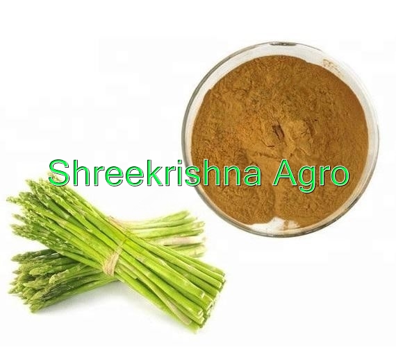 Asparagus Racemosus Extract