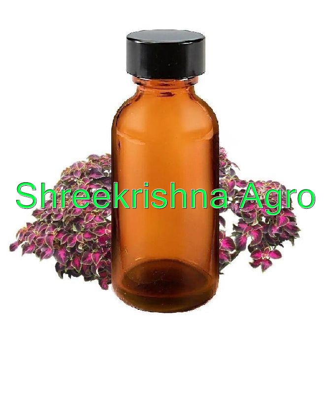 Coleus Oil