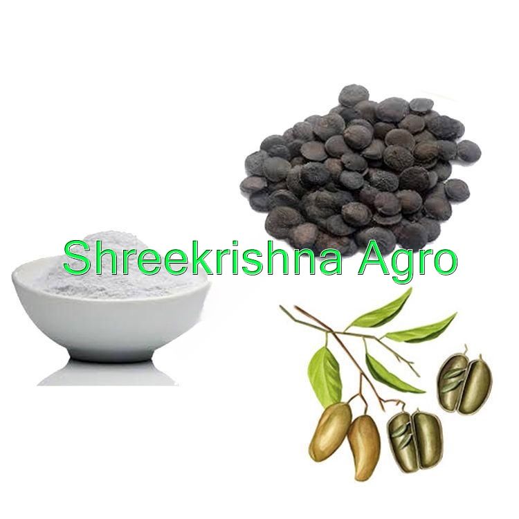 Griffonia Seed Extract 5 HTP