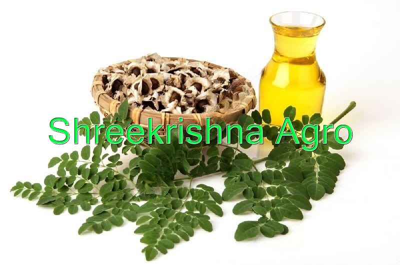Moringa Oil