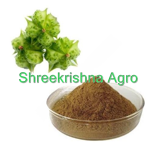 Tribulus Terrestria Extract