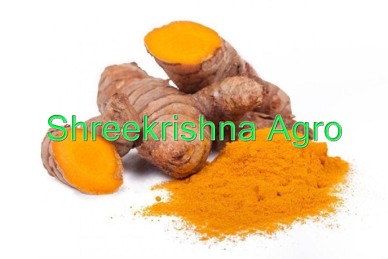 Turmeric Extract