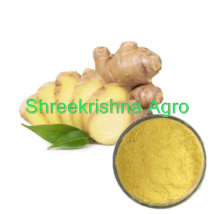 Zingiber Officinale Tuber Extract