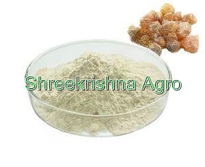 Boswellia Serrata Extract