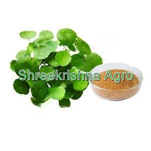 Centella Asiatica Herb Extract