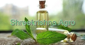 Peppermint Oil