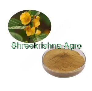 Sida Cordifolia Extract